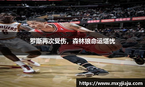半岛bob·官方网站