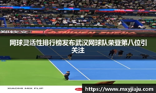 网球灵活性排行榜发布武汉网球队荣登第八位引关注