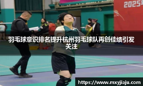 羽毛球意识排名提升杭州羽毛球队再创佳绩引发关注