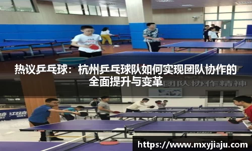 热议乒乓球：杭州乒乓球队如何实现团队协作的全面提升与变革