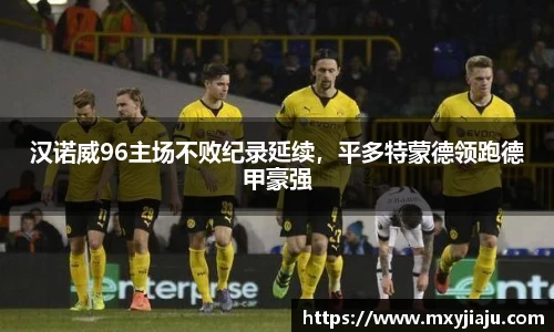 汉诺威96主场不败纪录延续，平多特蒙德领跑德甲豪强