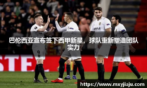 BoB半岛·体育中国官方网站