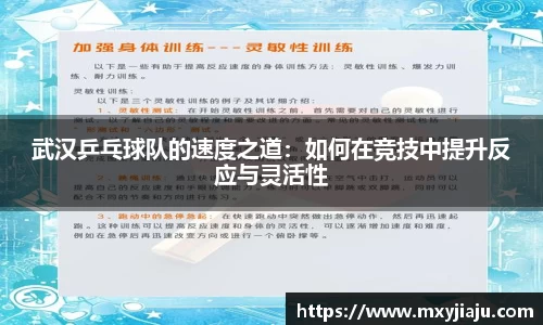武汉乒乓球队的速度之道：如何在竞技中提升反应与灵活性