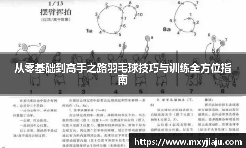 从零基础到高手之路羽毛球技巧与训练全方位指南