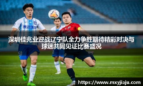 深圳佳兆业迎战辽宁队全力争胜期待精彩对决与球迷共同见证比赛盛况