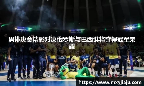 男排决赛精彩对决俄罗斯与巴西谁将夺得冠军荣耀